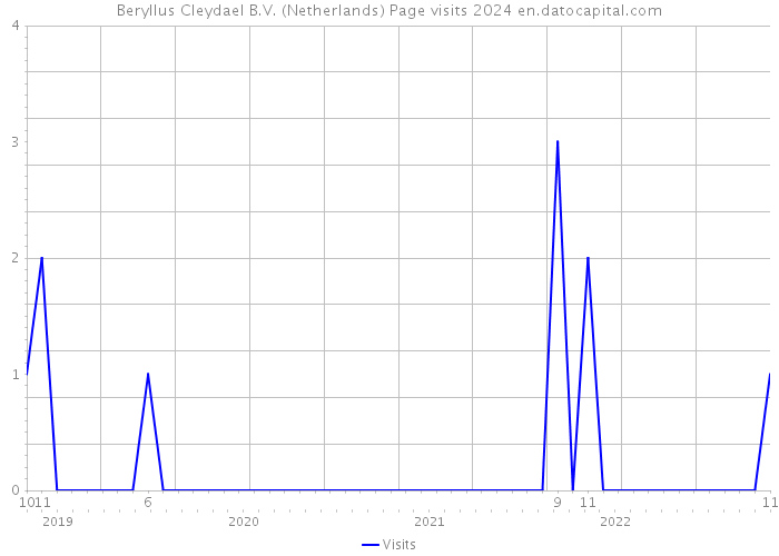 Beryllus Cleydael B.V. (Netherlands) Page visits 2024 