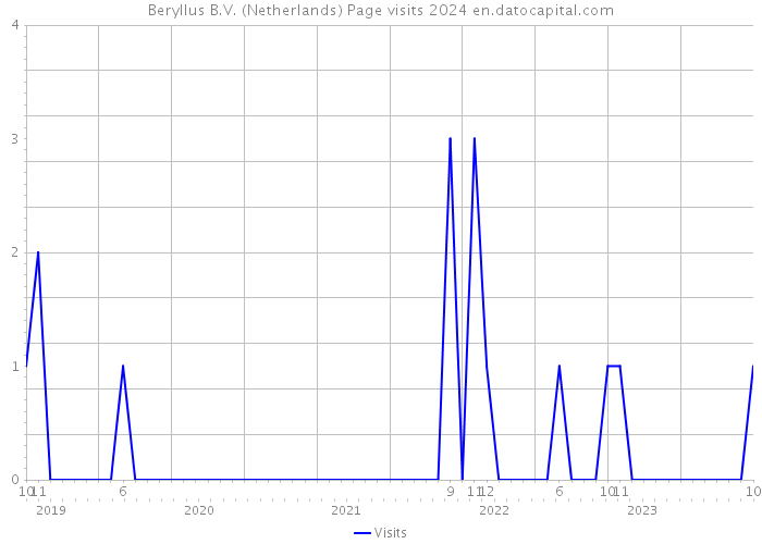 Beryllus B.V. (Netherlands) Page visits 2024 