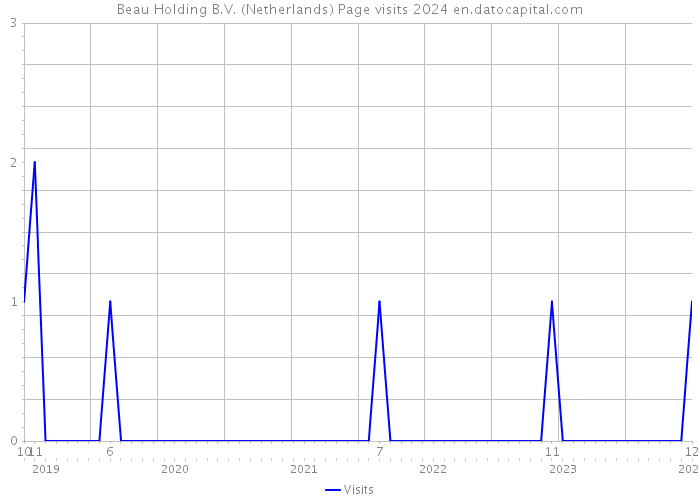 Beau Holding B.V. (Netherlands) Page visits 2024 