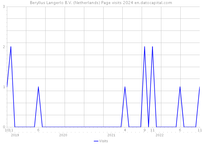 Beryllus Langerlo B.V. (Netherlands) Page visits 2024 