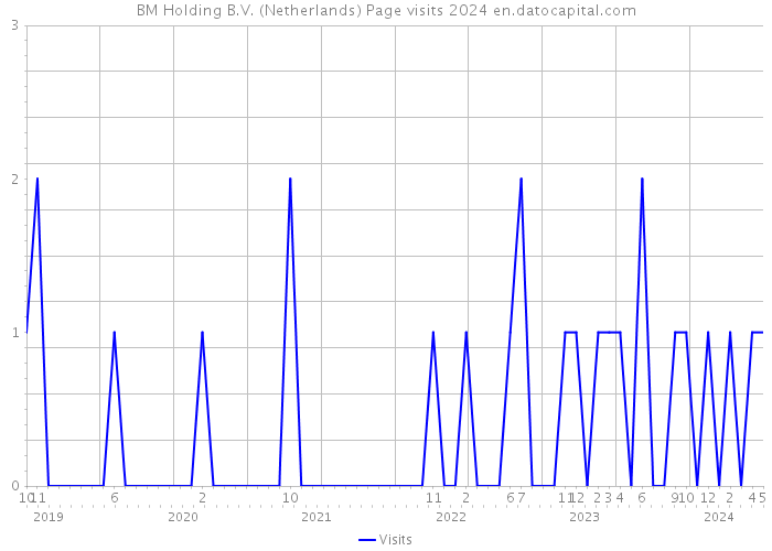 BM Holding B.V. (Netherlands) Page visits 2024 