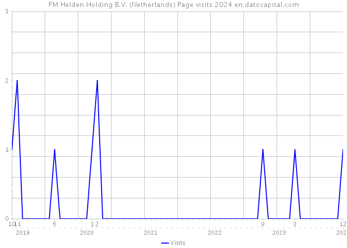 FM Helden Holding B.V. (Netherlands) Page visits 2024 