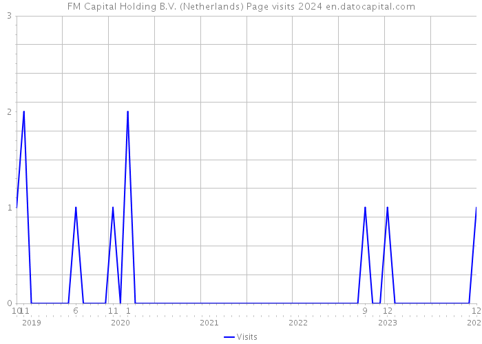 FM Capital Holding B.V. (Netherlands) Page visits 2024 