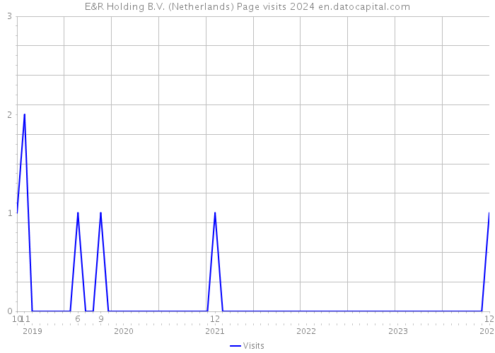 E&R Holding B.V. (Netherlands) Page visits 2024 