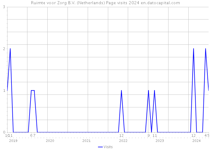 Ruimte voor Zorg B.V. (Netherlands) Page visits 2024 
