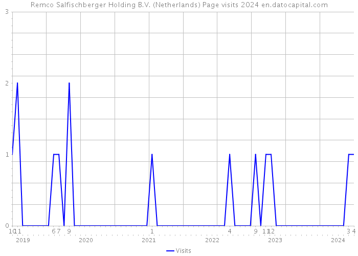 Remco Salfischberger Holding B.V. (Netherlands) Page visits 2024 