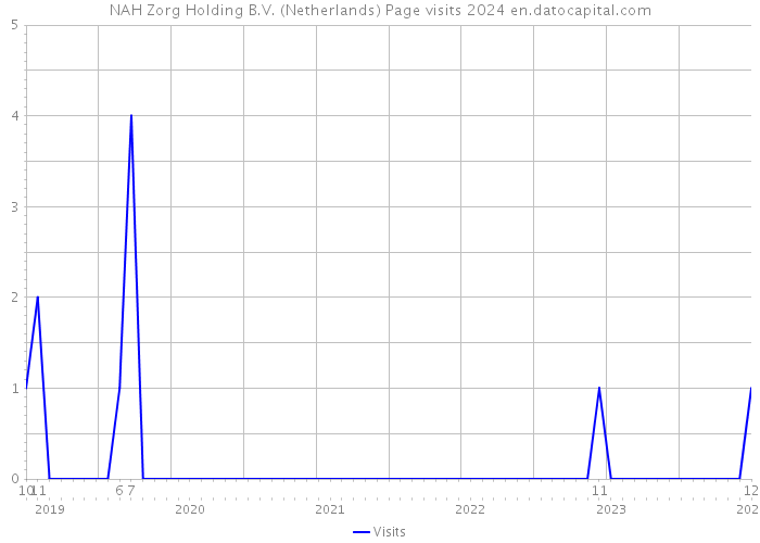 NAH Zorg Holding B.V. (Netherlands) Page visits 2024 
