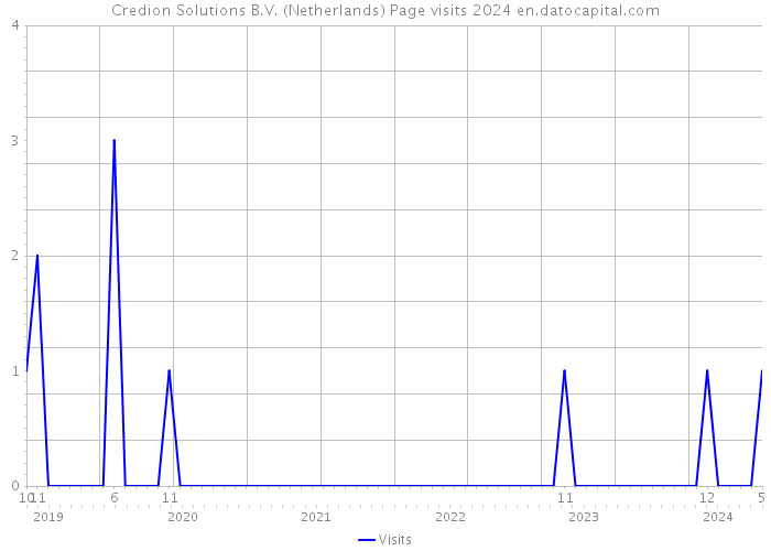 Credion Solutions B.V. (Netherlands) Page visits 2024 