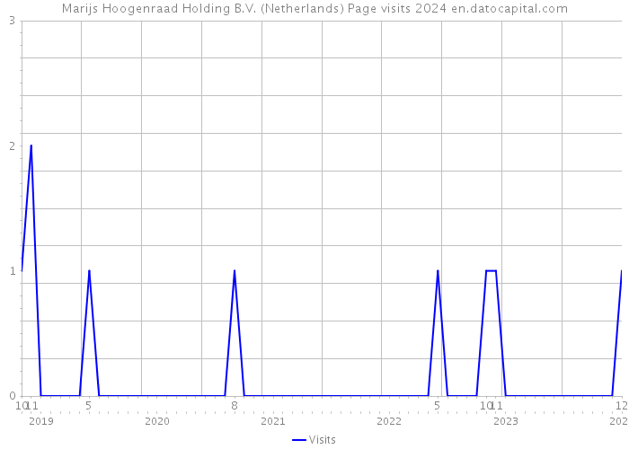 Marijs Hoogenraad Holding B.V. (Netherlands) Page visits 2024 