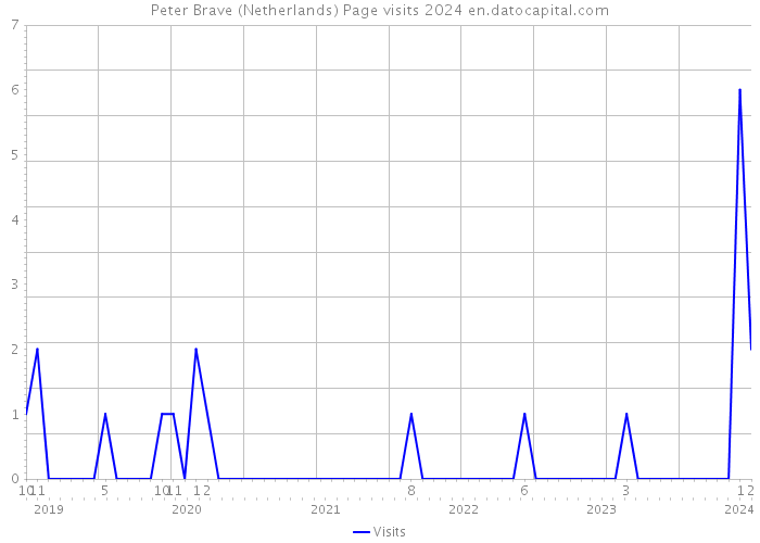 Peter Brave (Netherlands) Page visits 2024 