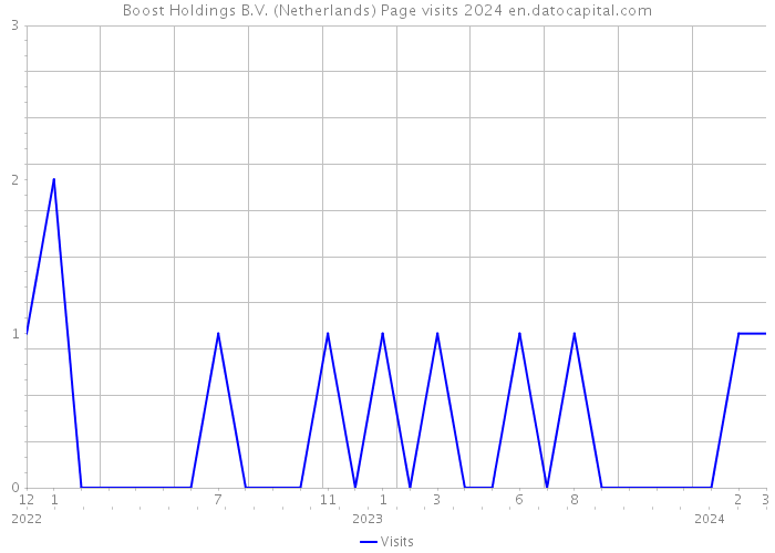 Boost Holdings B.V. (Netherlands) Page visits 2024 
