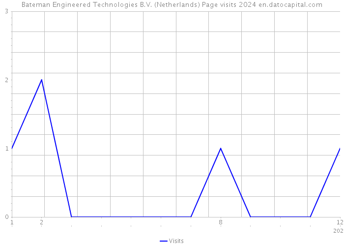Bateman Engineered Technologies B.V. (Netherlands) Page visits 2024 