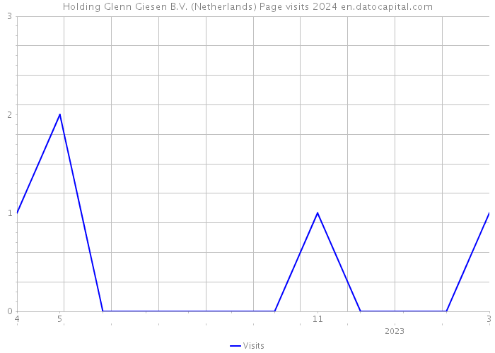 Holding Glenn Giesen B.V. (Netherlands) Page visits 2024 