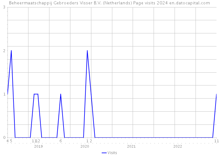 Beheermaatschappij Gebroeders Visser B.V. (Netherlands) Page visits 2024 