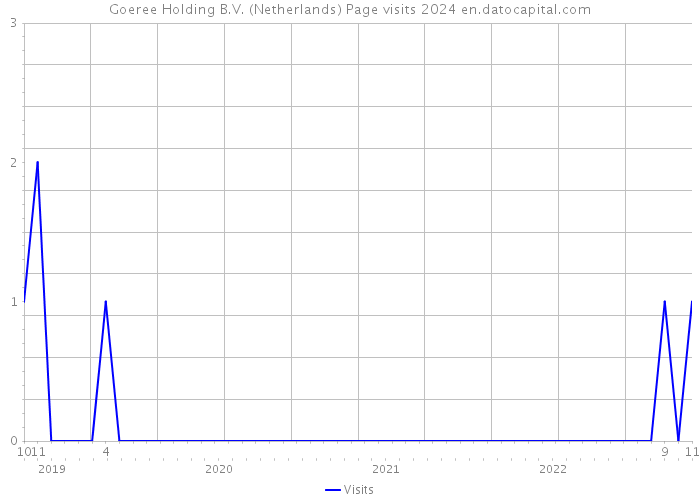 Goeree Holding B.V. (Netherlands) Page visits 2024 