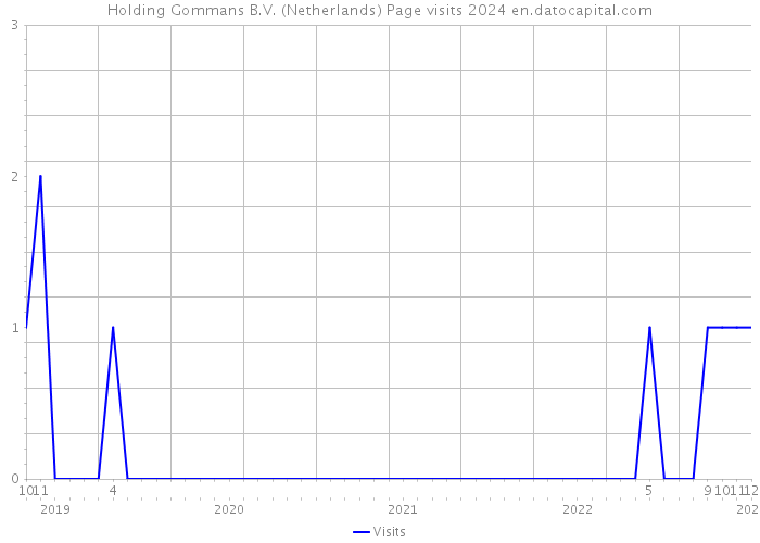 Holding Gommans B.V. (Netherlands) Page visits 2024 