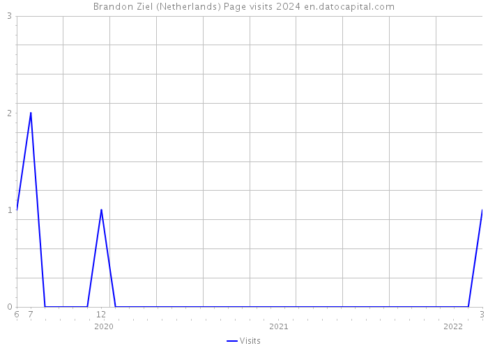 Brandon Ziel (Netherlands) Page visits 2024 