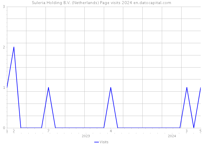 Suleria Holding B.V. (Netherlands) Page visits 2024 