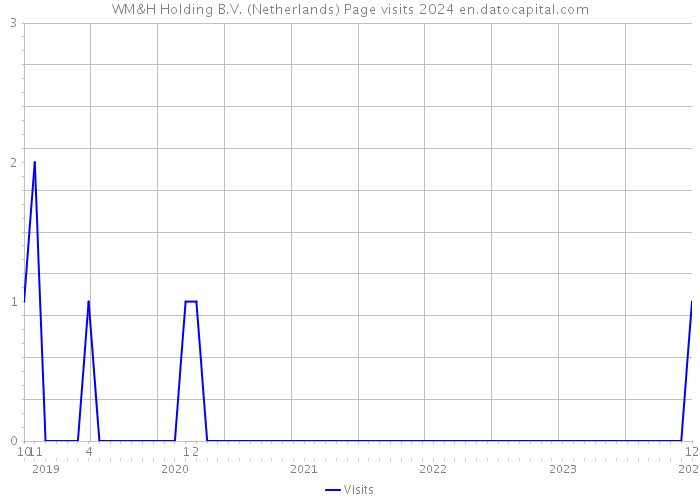 WM&H Holding B.V. (Netherlands) Page visits 2024 