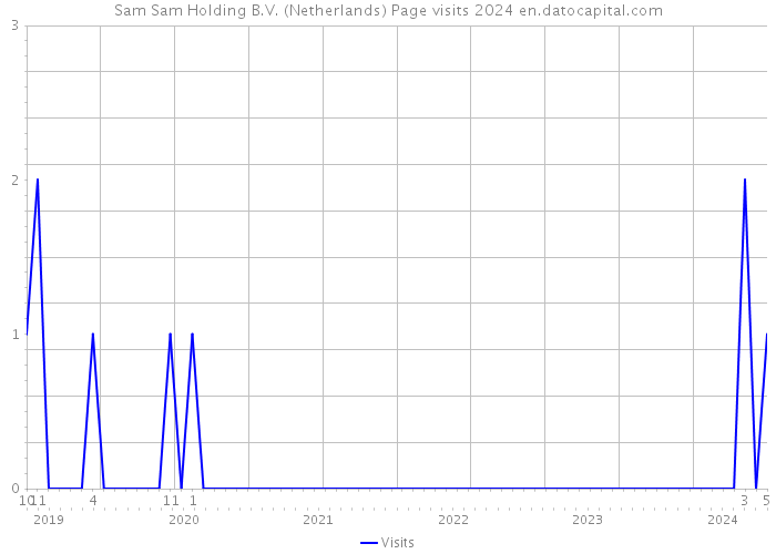 Sam Sam Holding B.V. (Netherlands) Page visits 2024 