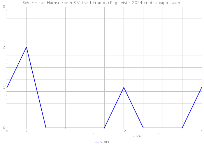Scharrelstal Hamsterpein B.V. (Netherlands) Page visits 2024 