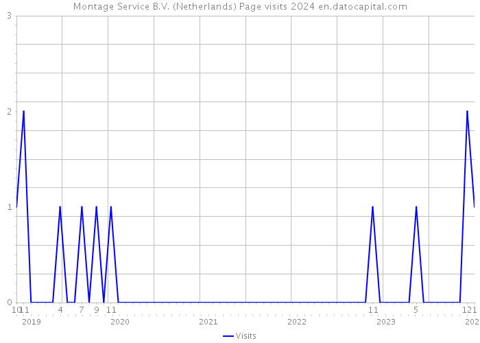Montage Service B.V. (Netherlands) Page visits 2024 