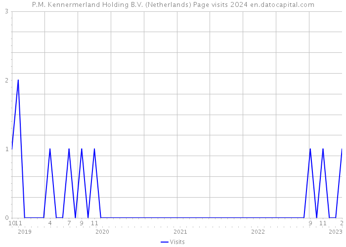 P.M. Kennermerland Holding B.V. (Netherlands) Page visits 2024 