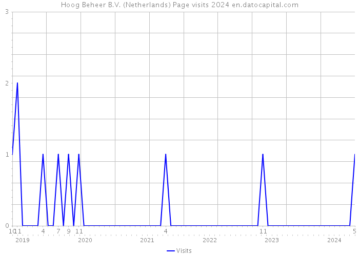 Hoog Beheer B.V. (Netherlands) Page visits 2024 
