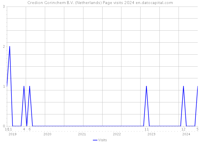 Credion Gorinchem B.V. (Netherlands) Page visits 2024 