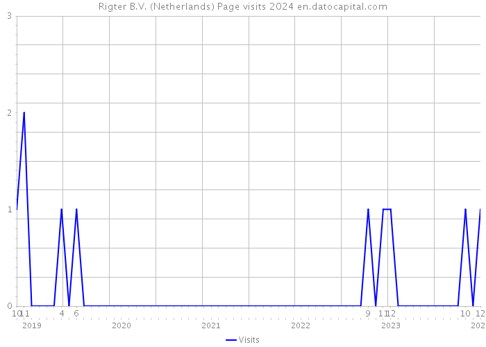 Rigter B.V. (Netherlands) Page visits 2024 