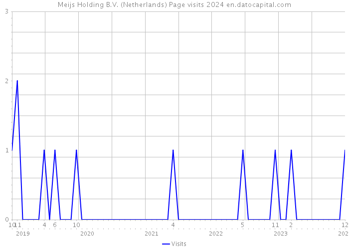 Meijs Holding B.V. (Netherlands) Page visits 2024 