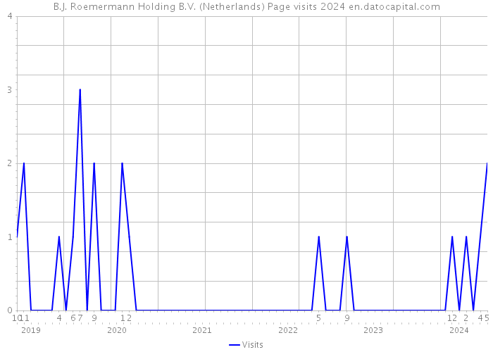 B.J. Roemermann Holding B.V. (Netherlands) Page visits 2024 