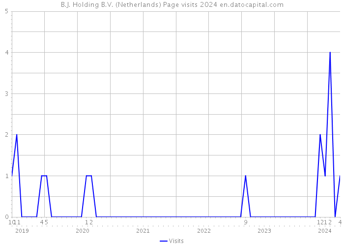 B.J. Holding B.V. (Netherlands) Page visits 2024 