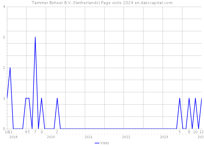Tammer Beheer B.V. (Netherlands) Page visits 2024 