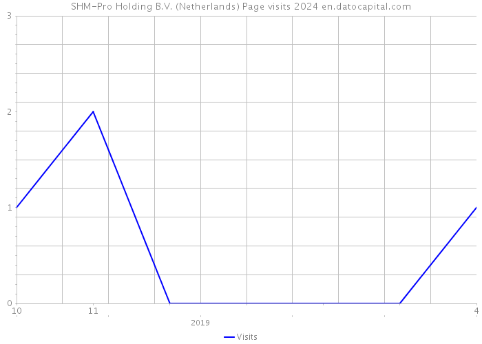 SHM-Pro Holding B.V. (Netherlands) Page visits 2024 