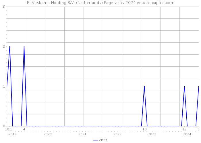 R. Voskamp Holding B.V. (Netherlands) Page visits 2024 
