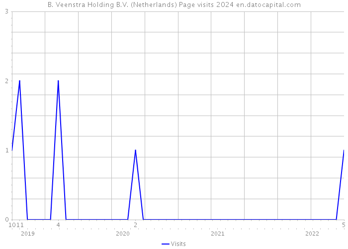 B. Veenstra Holding B.V. (Netherlands) Page visits 2024 