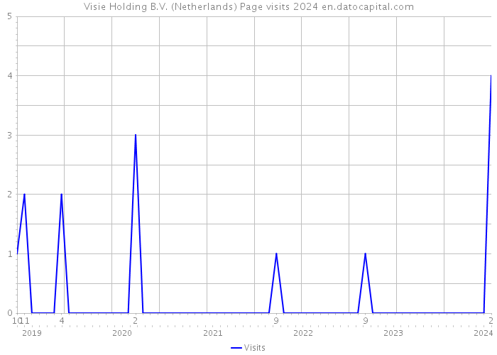 Visie Holding B.V. (Netherlands) Page visits 2024 