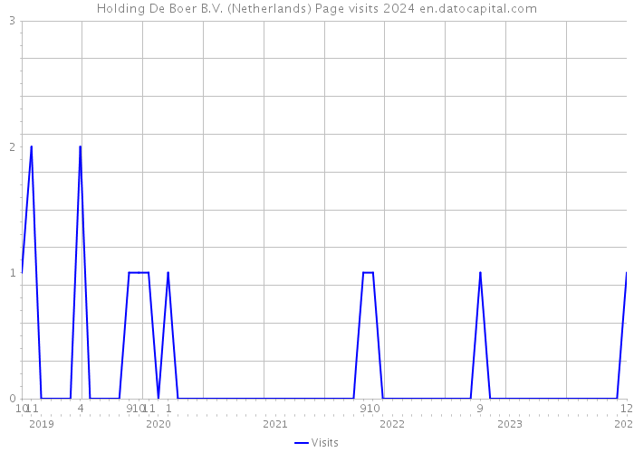 Holding De Boer B.V. (Netherlands) Page visits 2024 