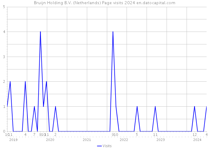 Bruijn Holding B.V. (Netherlands) Page visits 2024 