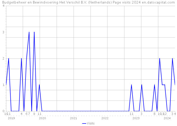 Budgetbeheer en Bewindvoering Het Verschil B.V. (Netherlands) Page visits 2024 