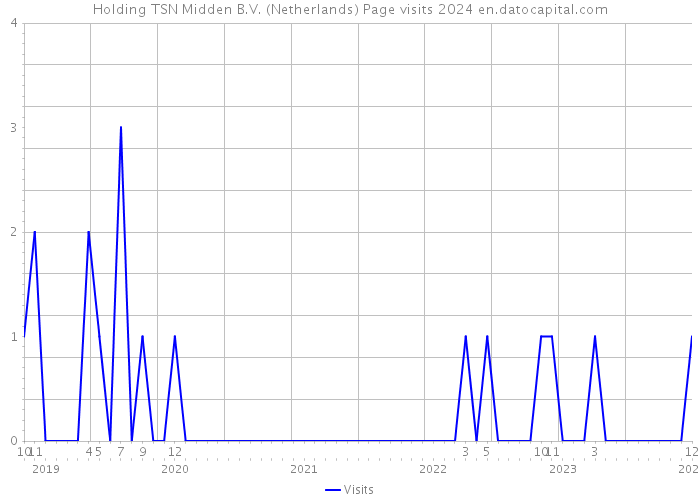 Holding TSN Midden B.V. (Netherlands) Page visits 2024 