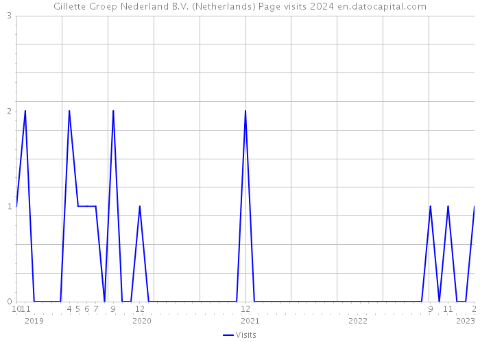 Gillette Groep Nederland B.V. (Netherlands) Page visits 2024 