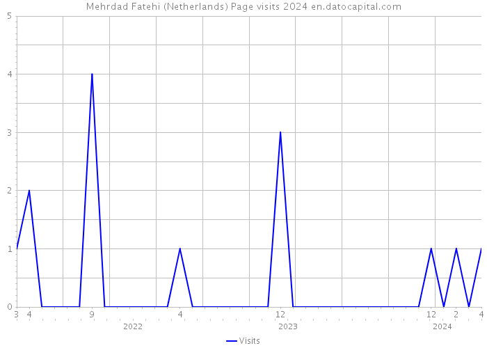 Mehrdad Fatehi (Netherlands) Page visits 2024 