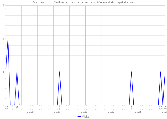 Mantes B.V. (Netherlands) Page visits 2024 
