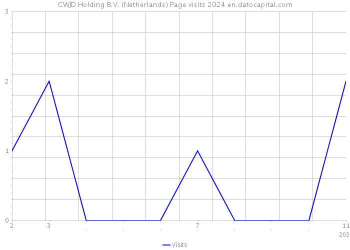 CWJD Holding B.V. (Netherlands) Page visits 2024 