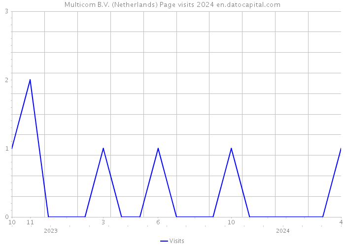 Multicom B.V. (Netherlands) Page visits 2024 