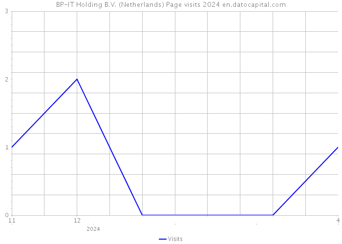 BP-IT Holding B.V. (Netherlands) Page visits 2024 