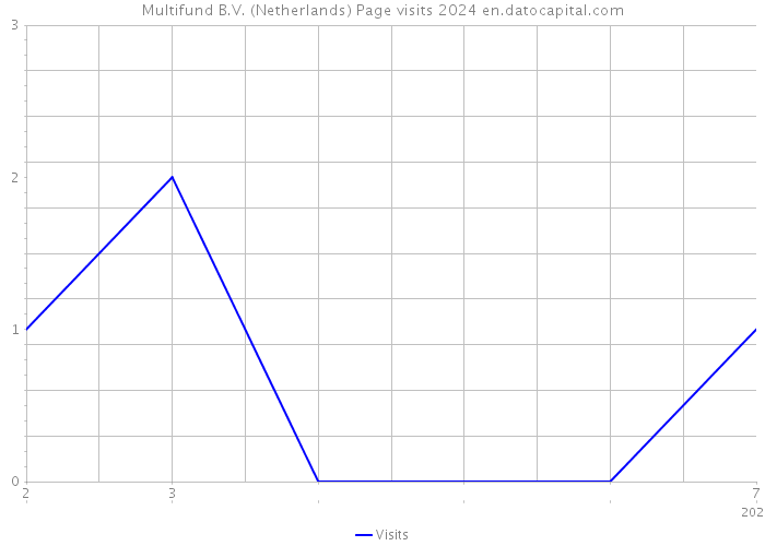Multifund B.V. (Netherlands) Page visits 2024 