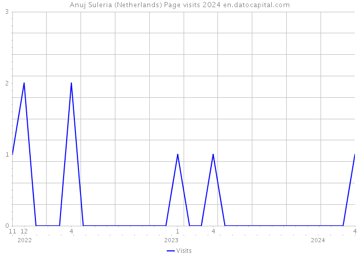 Anuj Suleria (Netherlands) Page visits 2024 
